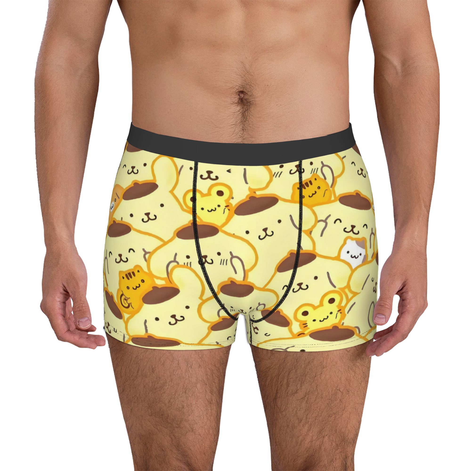 Cartoon Pompompurin Underwear  – обзор и цена Boxer Shorts Modal