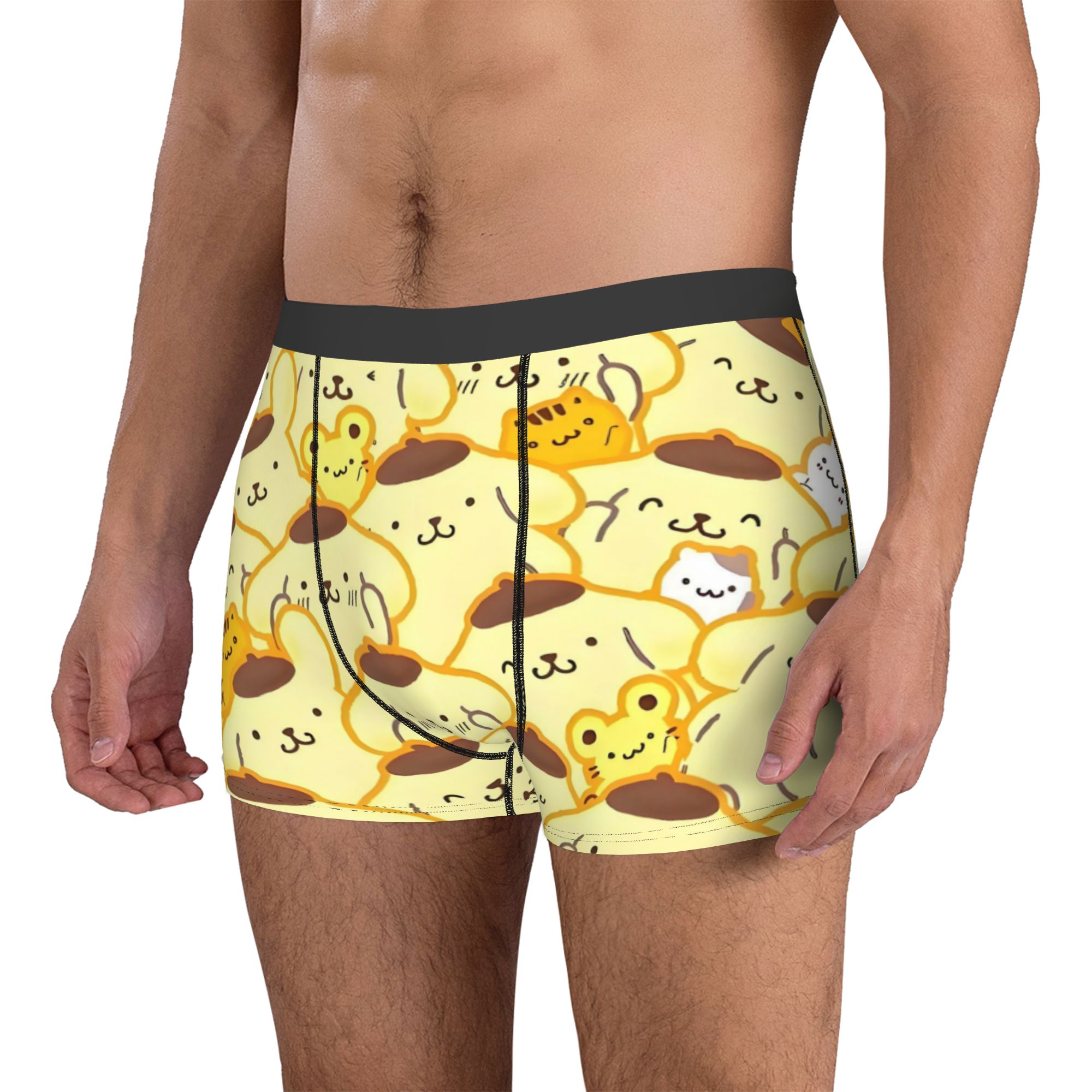 Cartoon Pompompurin Underwear  – обзор и цена Boxer Shorts Modal