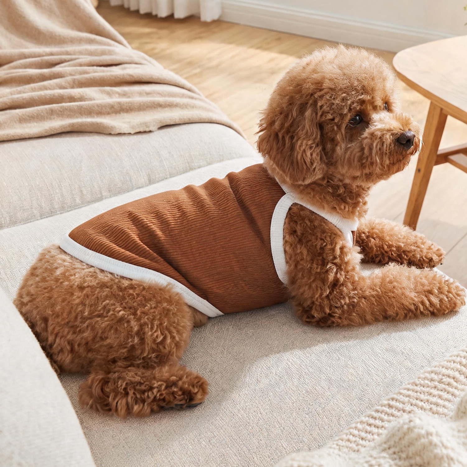 1PC Contrast border dog tank t – обзор и цена Tank Top Ribbed