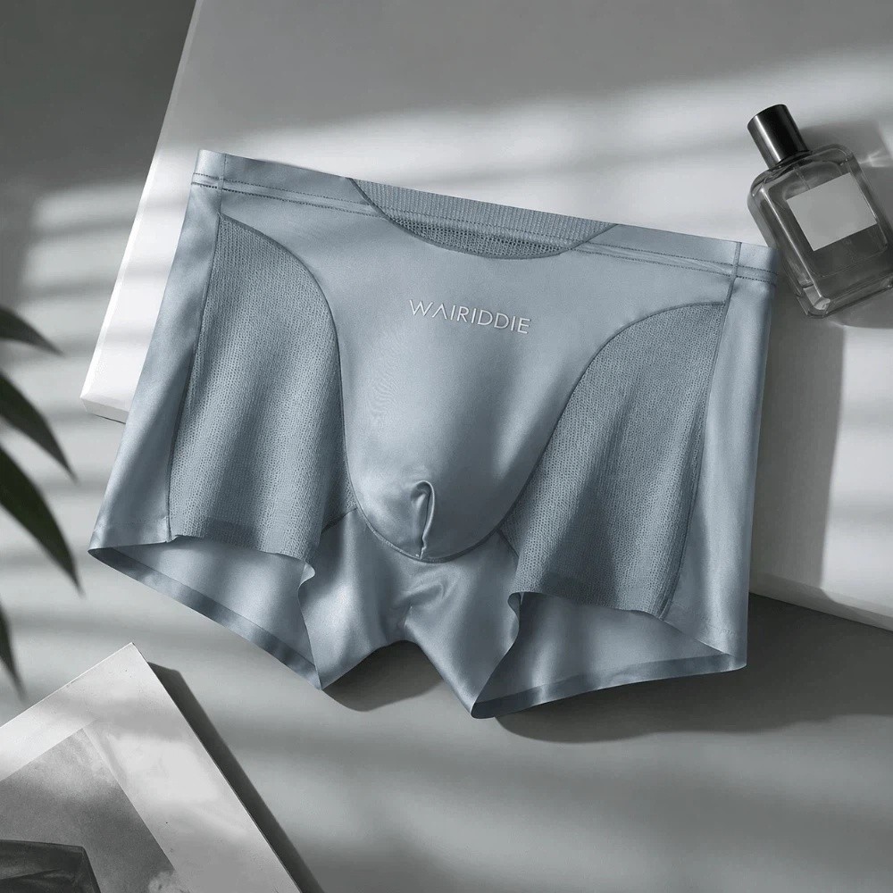 Simple Mesh Ice Silk Underwear – обзор и цена Mesh Sport Boxer